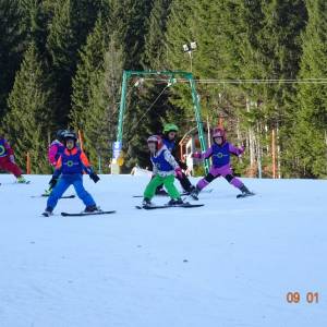 mali-soncek\1_1768_original